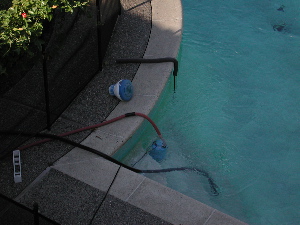 picture of pool